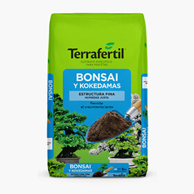 Bonsai