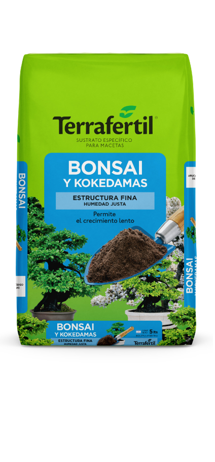 Sustrato para bonsai