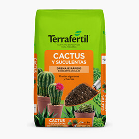 Cactus y Suculentas