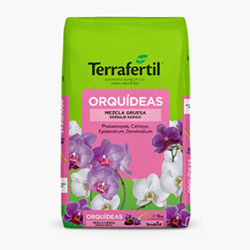 Orqu&iacute;deas