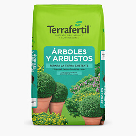 &Aacute;rboles y Arbustos
