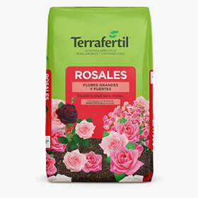 Rosales